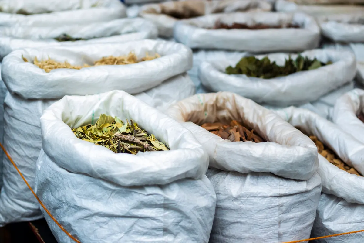 Loose Leaf vs. Tea Bags: A Practical Comparison for New Tea Drinkers